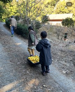 レモンと子供達