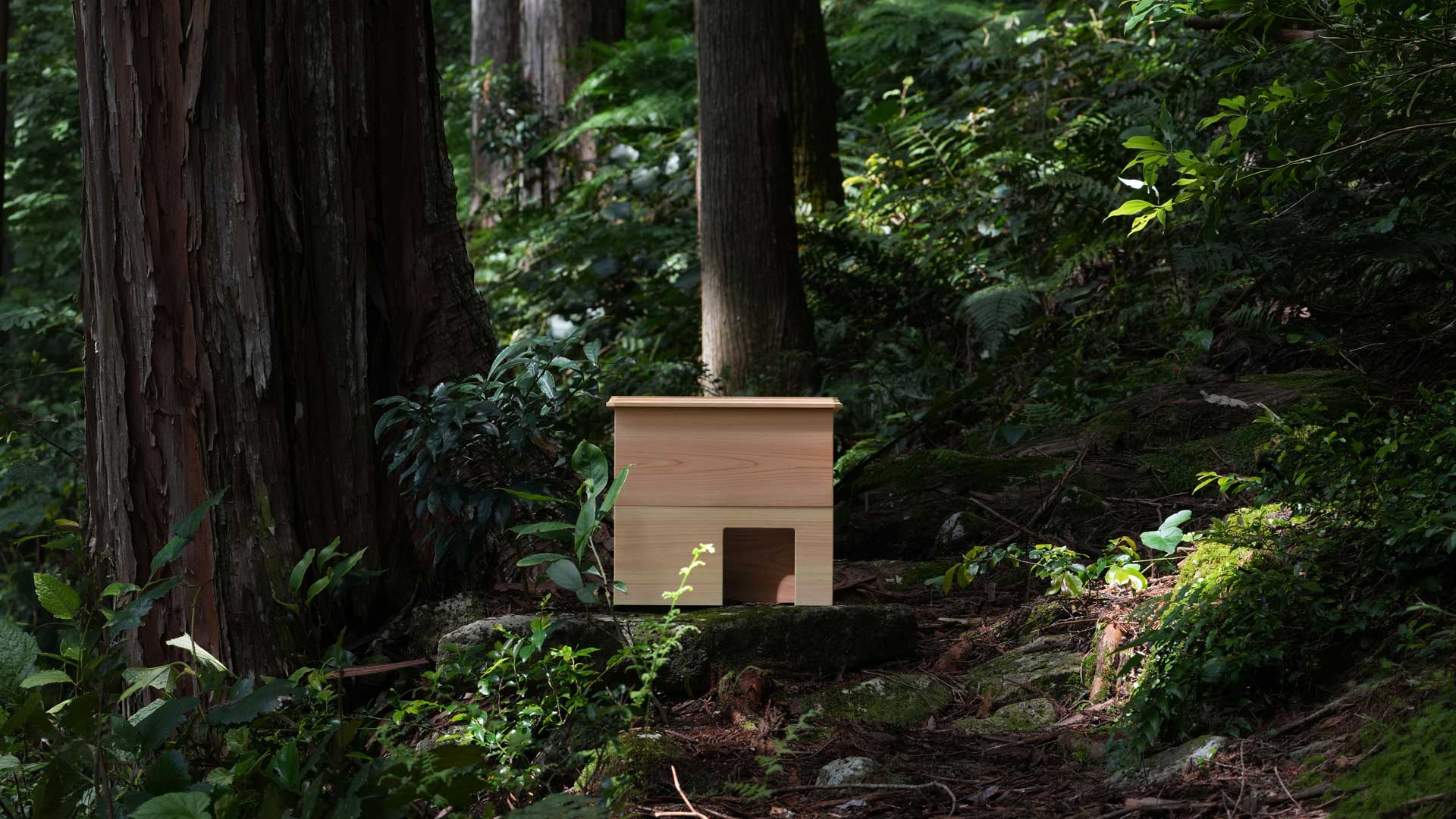 phyto steam オリジナルスチームチェア